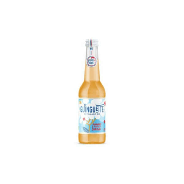 PETILLANT POMME GINGEMBRE 33CL