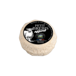 LE PETIT AFFINE BREBIS
