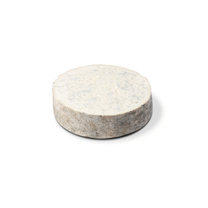 GORGONZOLA