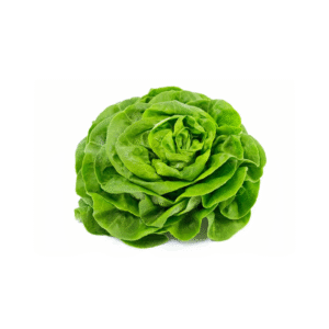 SALADE 1KG