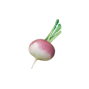 NAVET 1KG