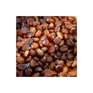 CHATAIGNES TARN 1KG