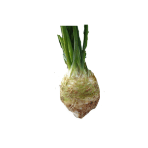CELERI RAVE 1KG
