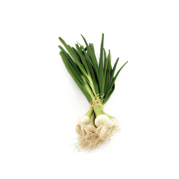 OIGNONS FRAIS la pièce